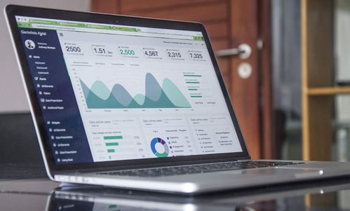 Stata官网下载步骤与Stata 17稳定中文版数据处理和存储指南